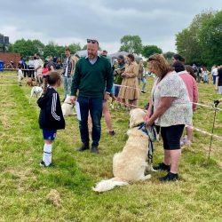 Greatworth pre-school dog show