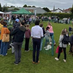 Middleton Dog Show