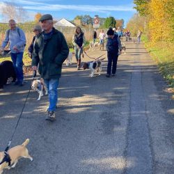 Community walk