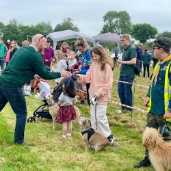 Greatworth pre-school dog show