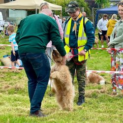 Greatworth pre-school dog show